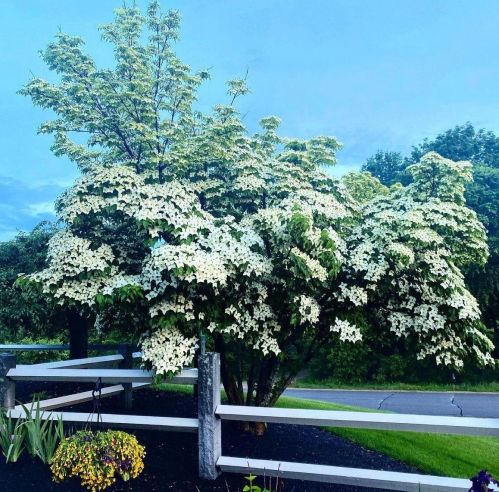 2 Asa Dr, Concord NH  03304-4012 exterior