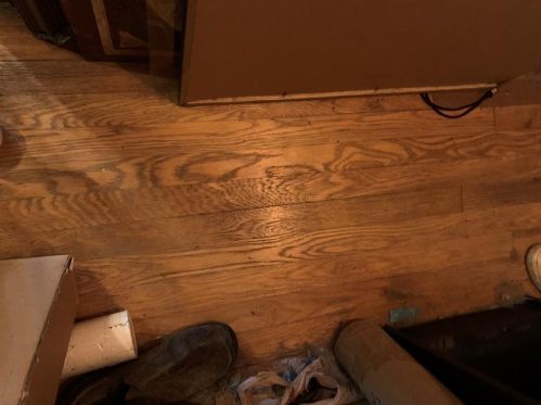 1815 Collier St, Austin TX 78704-2910 exterior