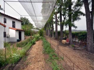 2833 Shadowlawn Ave, Los Angeles CA  90039-2622 exterior