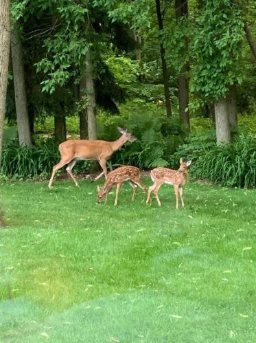 1204 Fleetwood Dr, Manitowoc WI 54220-2362 exterior