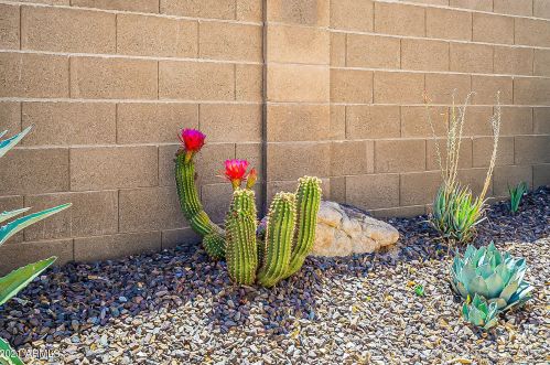 19819 34th Pl, Phoenix AZ  85050-7936 exterior