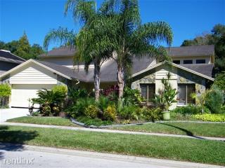 14621 Village Glen Cir, Tampa FL  33618-2733 exterior