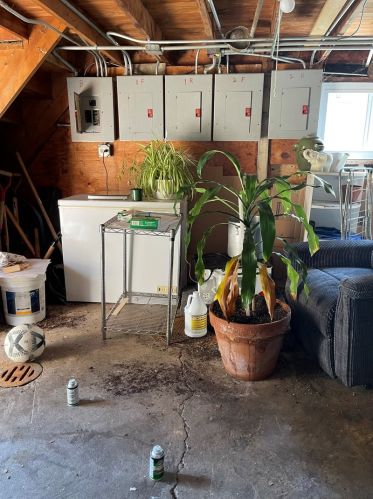 2015 21st Pl, Chicago IL 60608-4159 exterior