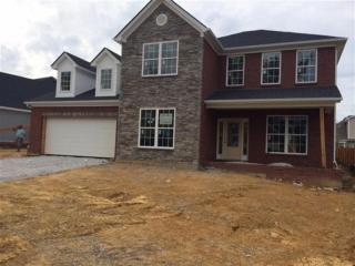 4133 Starrush Pl, Lexington KY  40509-9078 exterior