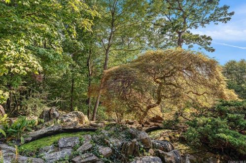 9 Fox Run, Armonk NY 10504-1011 exterior