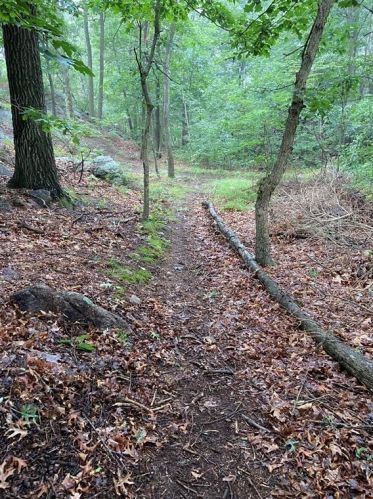 162 Dartmouth St, Lynn, MA 01904-1256