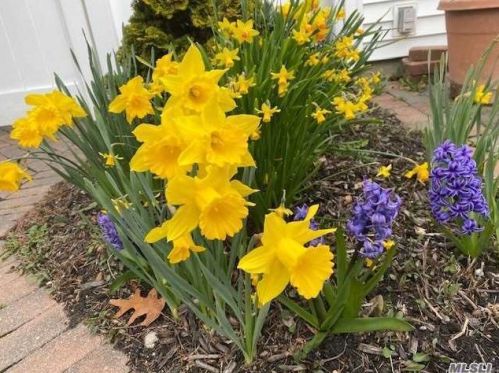 218 Woodsome Rd, Babylon NY 11702-3319 exterior