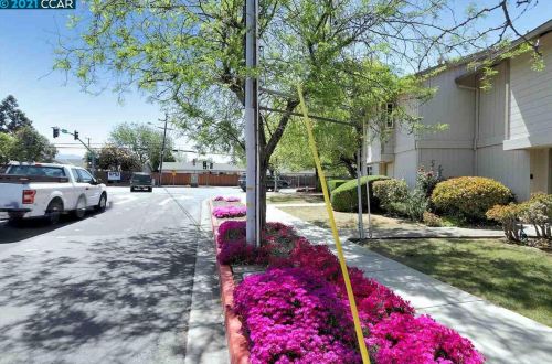 1725 Landana Dr, Concord CA  94519-1463 exterior