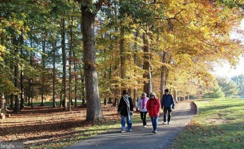 14562 Kelmscot Dr, Silver Spring MD  20906-1834 exterior